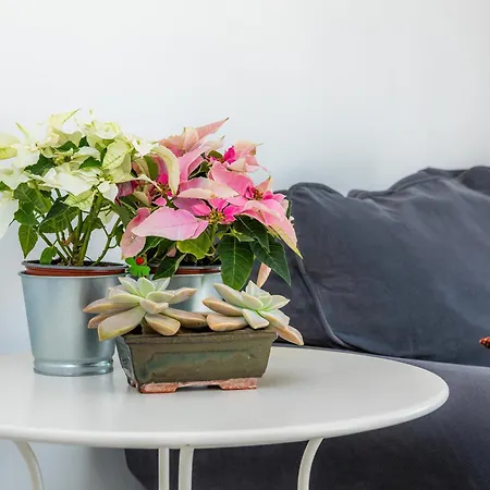 Apartment Picafort Sea Breeze *
